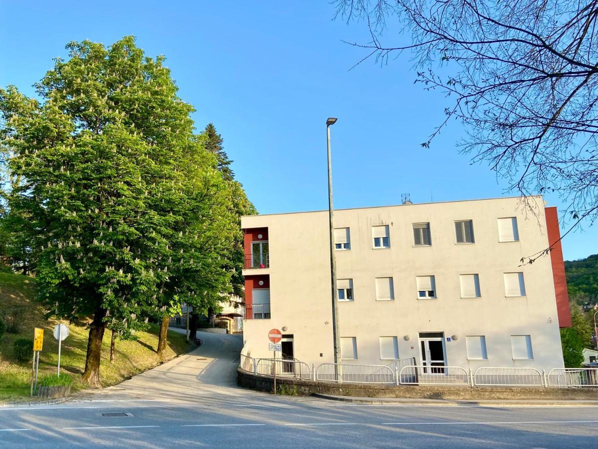 Studio Apartment Stazion With Free Parking Пазин Екстериор снимка